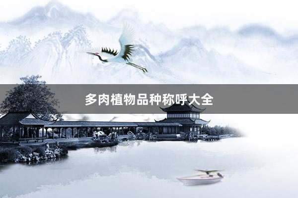 多肉植物品种称呼大全