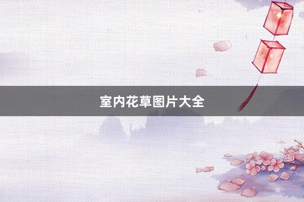 室内花草图片大全